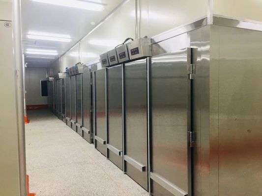 Yasur YST-1R2 لفة في نوع العجين النهائي غرفة التخمير رفوف مزدوجة 40X60cm صواني 220V 2KW